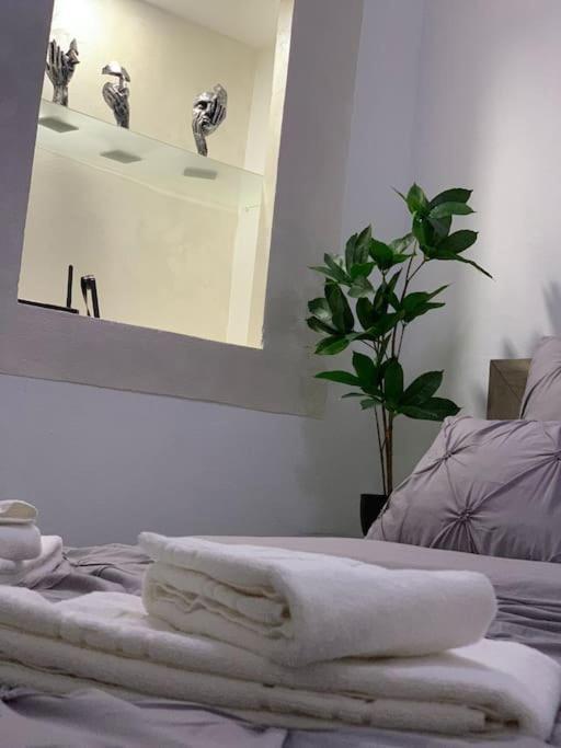 Studio Central Mm Apartments ブラショフ エクステリア 写真