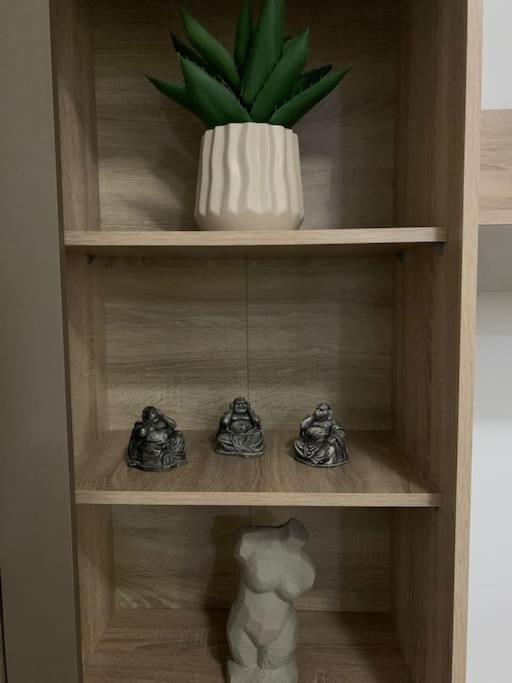 Studio Central Mm Apartments ブラショフ エクステリア 写真