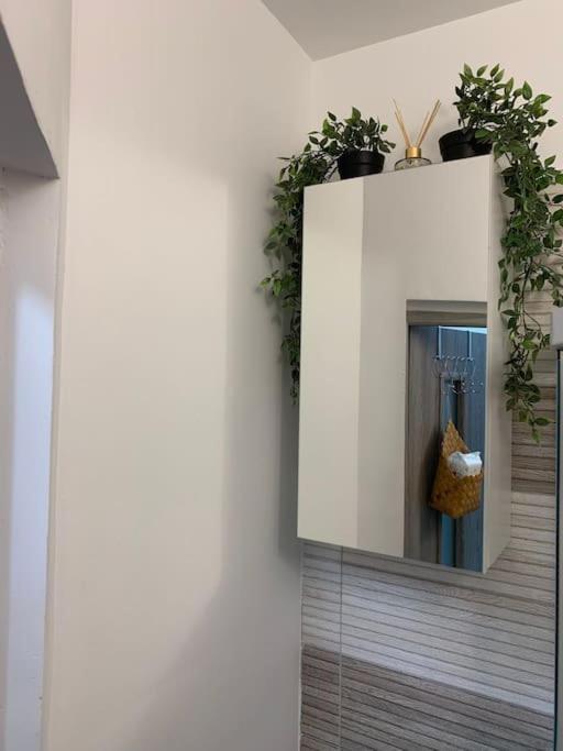 Studio Central Mm Apartments ブラショフ エクステリア 写真