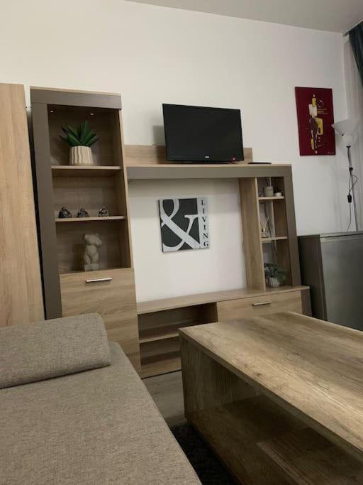 Studio Central Mm Apartments ブラショフ エクステリア 写真